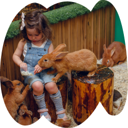 Преимущество 1