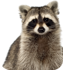 Преимущество 2