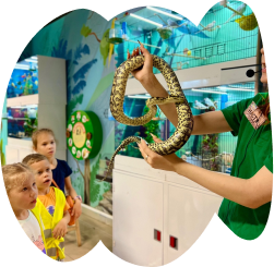 Преимущество 4