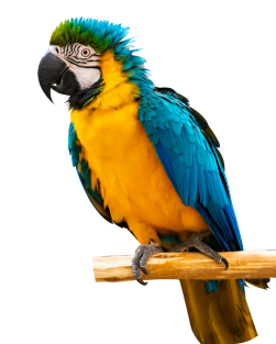 Преимущество 5