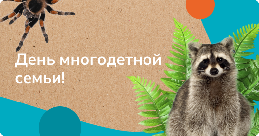 День многодетной семьи!
