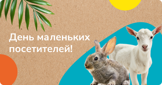 День маленьких посетителей!