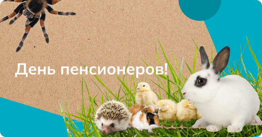 День пенсионеров!